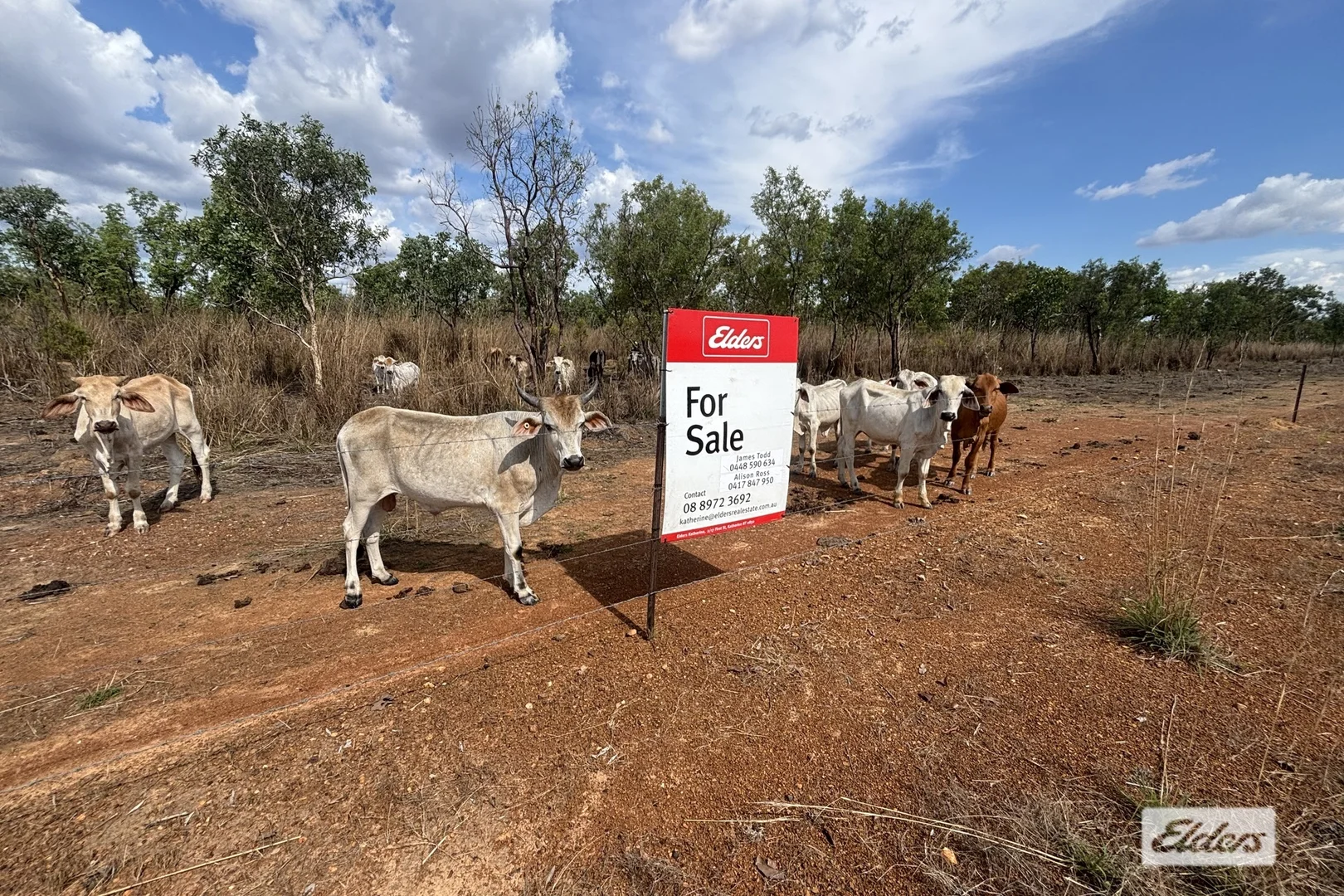 Additional image 9 of 7783 Stuart Highway, Adelaide River NT 0846