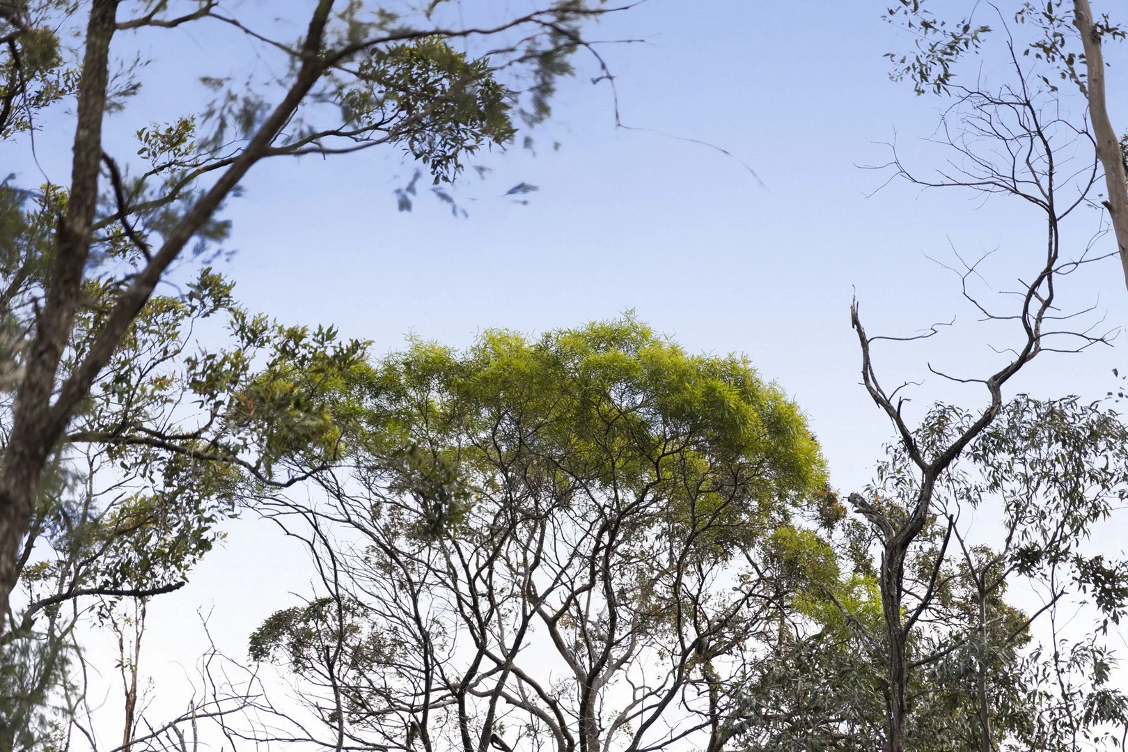 Additional image 15 of Lot 105 Mahs Court, Highfields QLD 4352