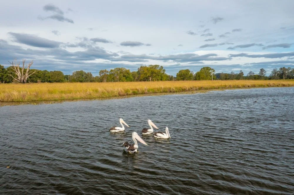 LOT 1 HURSLEY ROAD, Redbank NSW 2446