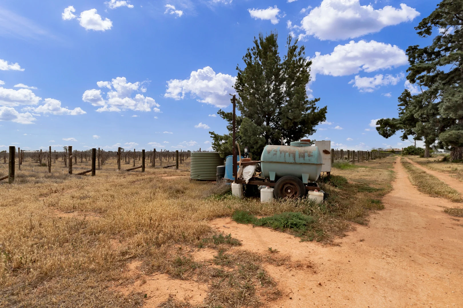 Additional image 6 of 37 Fraser Drive, Merbein VIC 3505