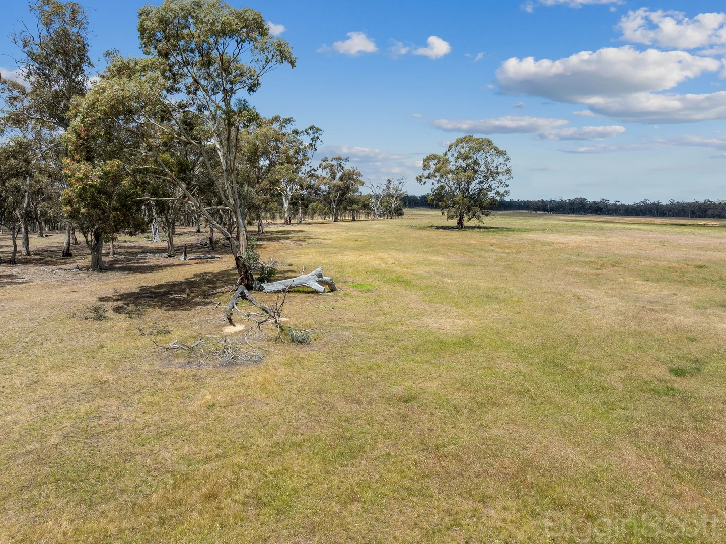 Additional image 19 of 260 Deep Creek Road, Campbelltown VIC 3364