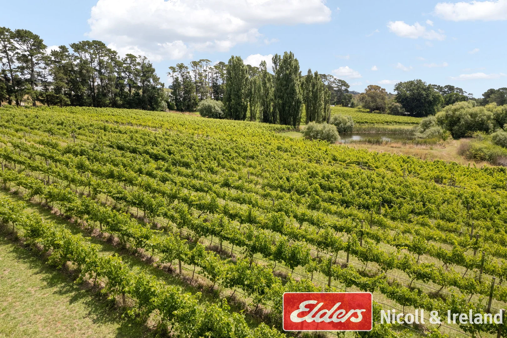 Additional image 33 of 42 Wallace Lane, Canobolas NSW 2800