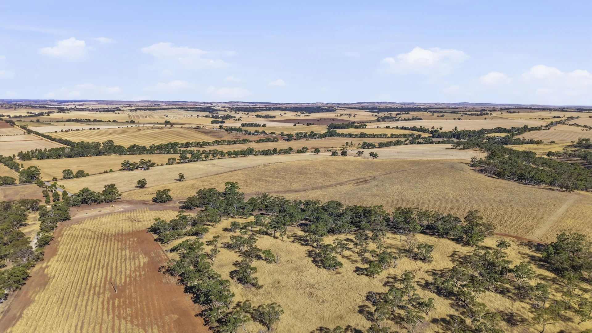 Additional image 26 of 83 Kelly Road, Undalya SA 5451