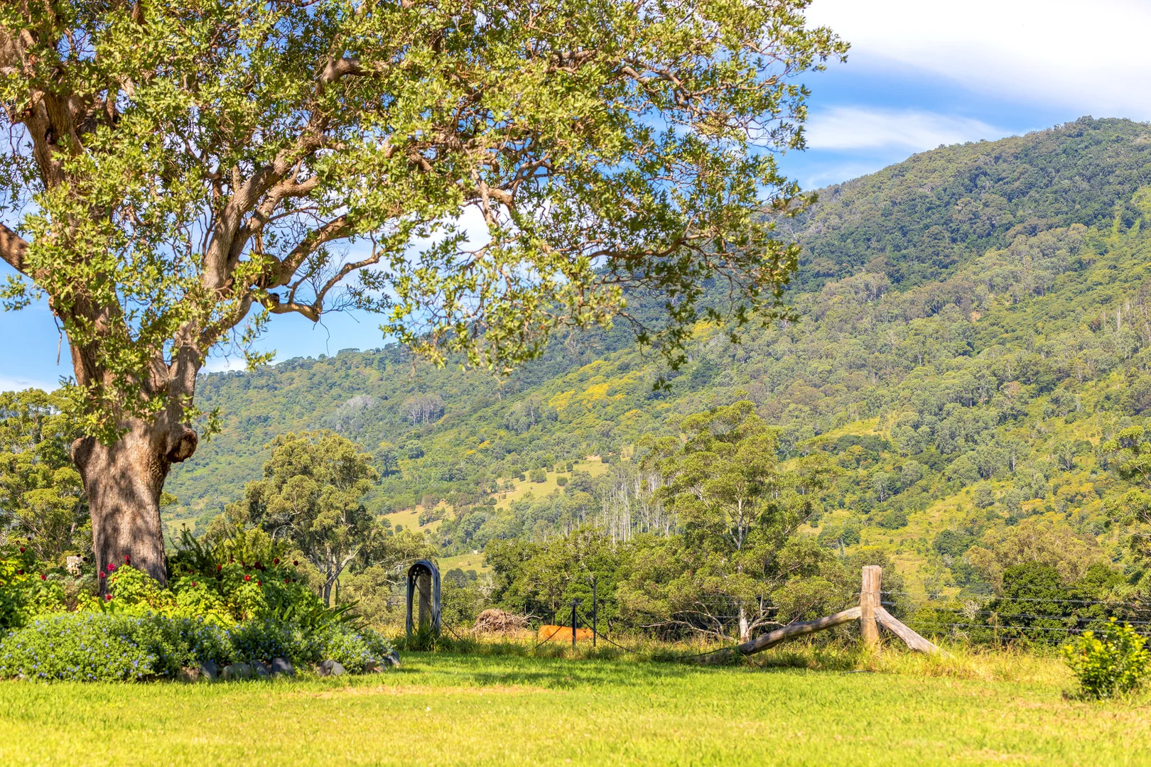 Additional image 41 of Mount George NSW 2424