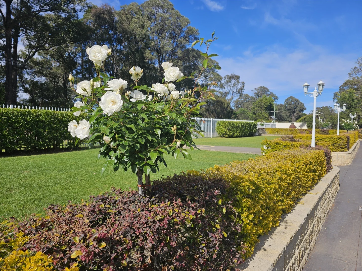 Additional image 6 of 65 Ironbark Road, Bargo NSW 2574