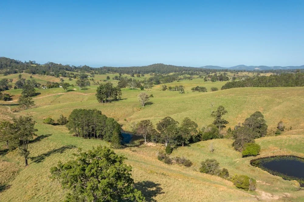 Additional image 7 of 353 Rhones Creek Road, Talarm NSW 2447