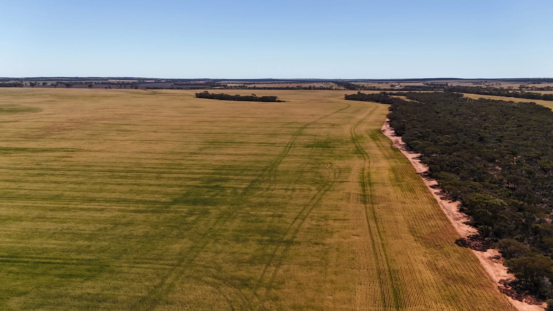 Additional image 33 of 3279 Calzoni Road, Hyden WA 6359