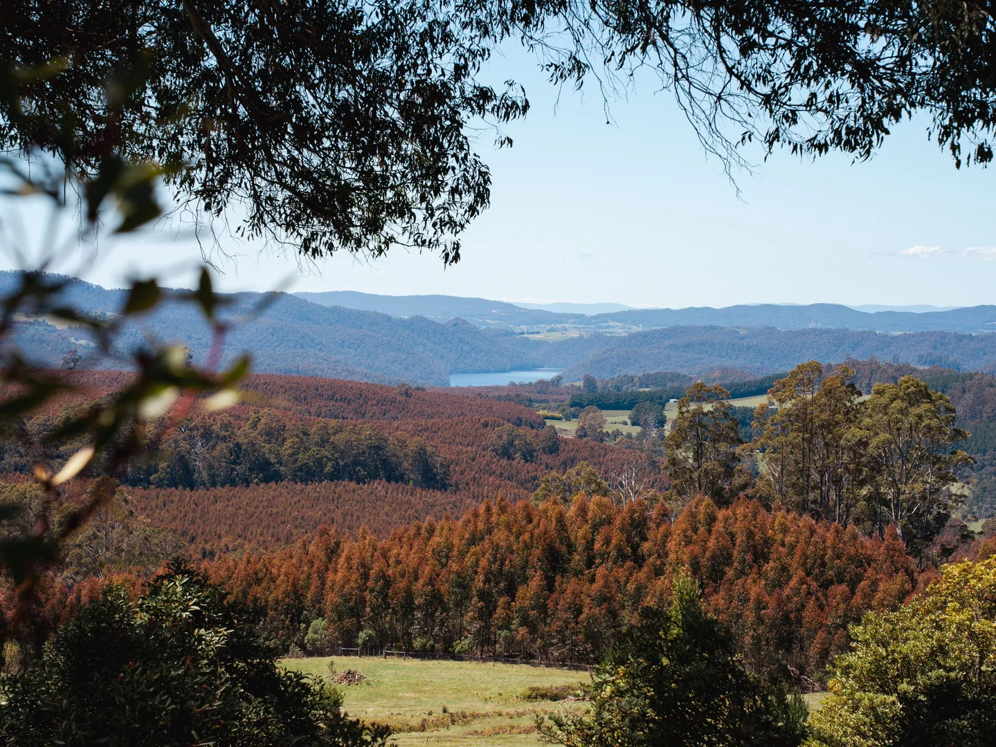 Additional image 36 of 38 Kop Road, Erriba TAS 7310