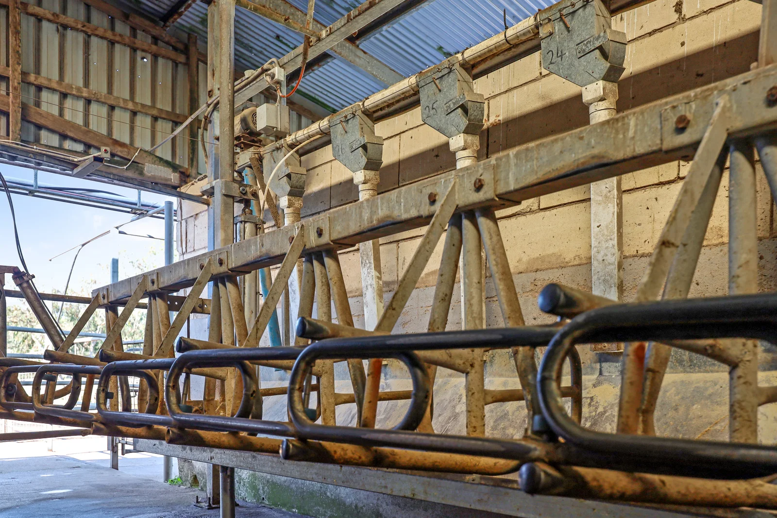 Additional image 20 of 140 Savins Road, Condah VIC 3303