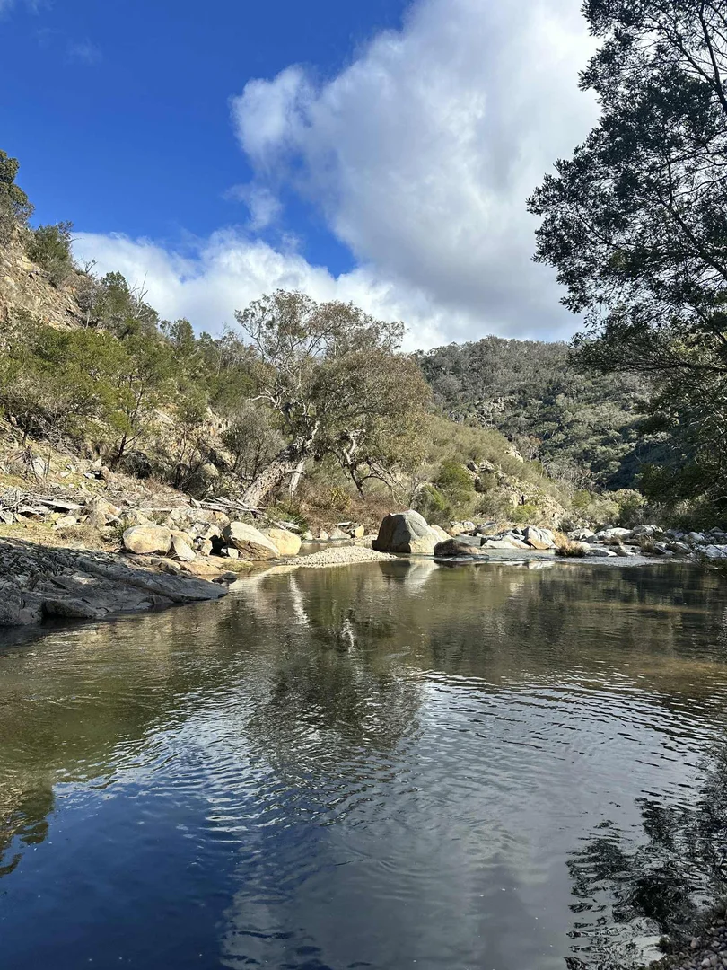 Additional image 8 of 317 Ambyne Road, Deddick Valley VIC 3888