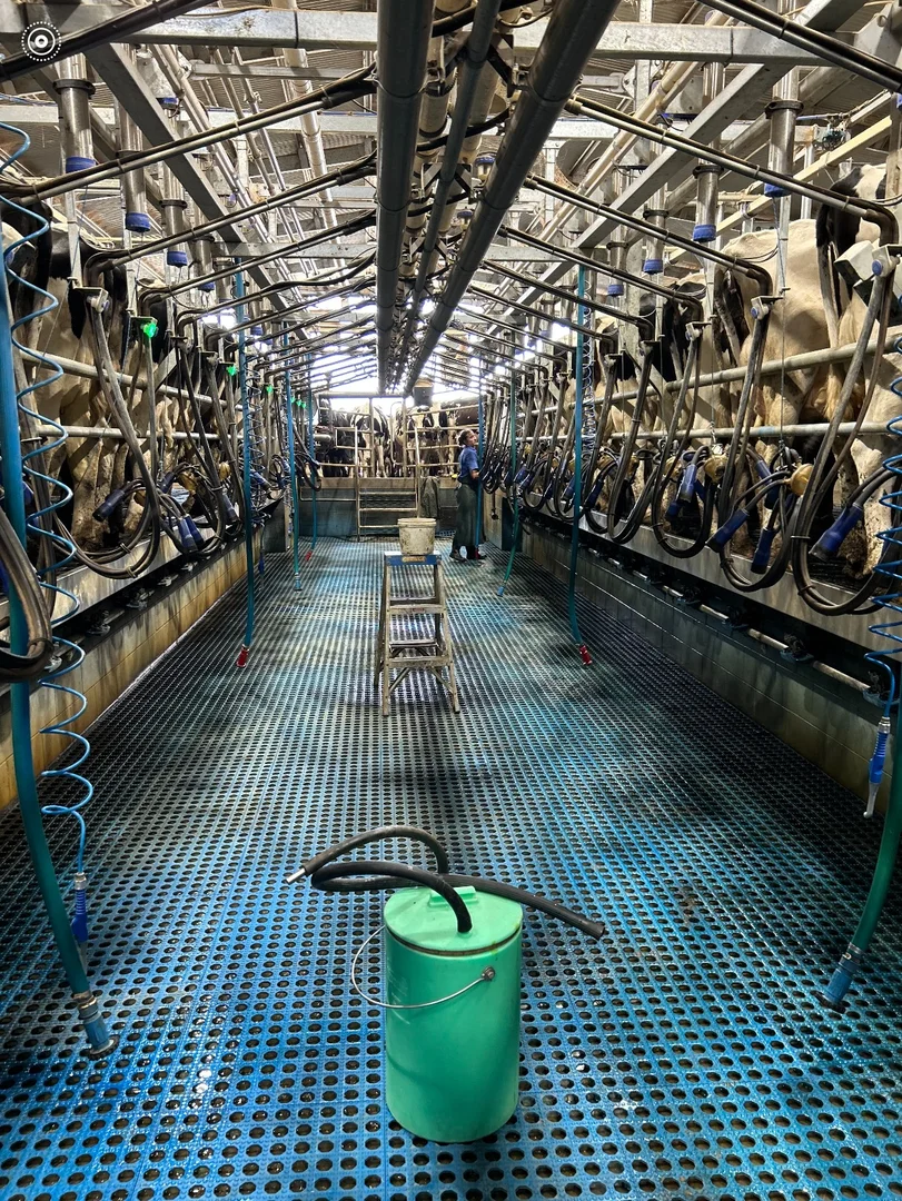 Additional image 34 of 229 Elliots Lane, Forbes NSW 2871