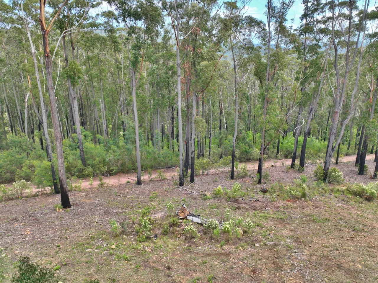 Additional image 7 of 371 Ruggs Road, Nethercote NSW 2549