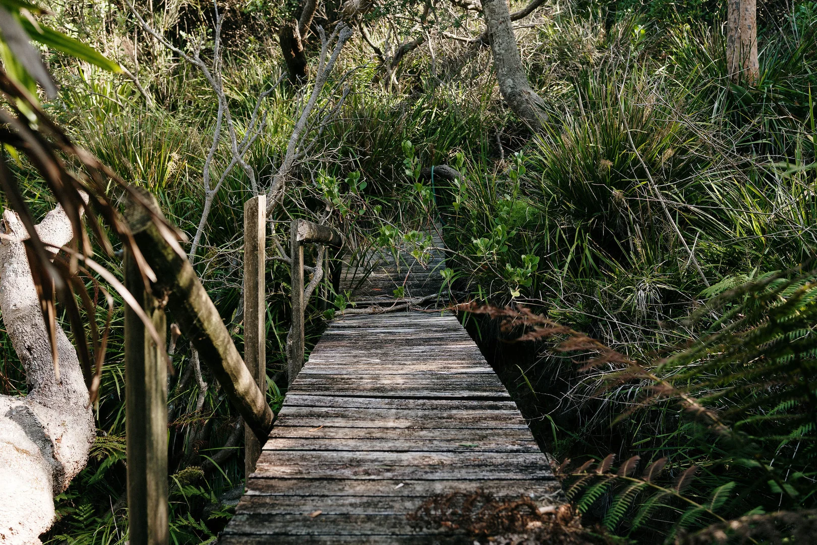 Additional image 27 of 10 Patricia Place, Killcare NSW 2257