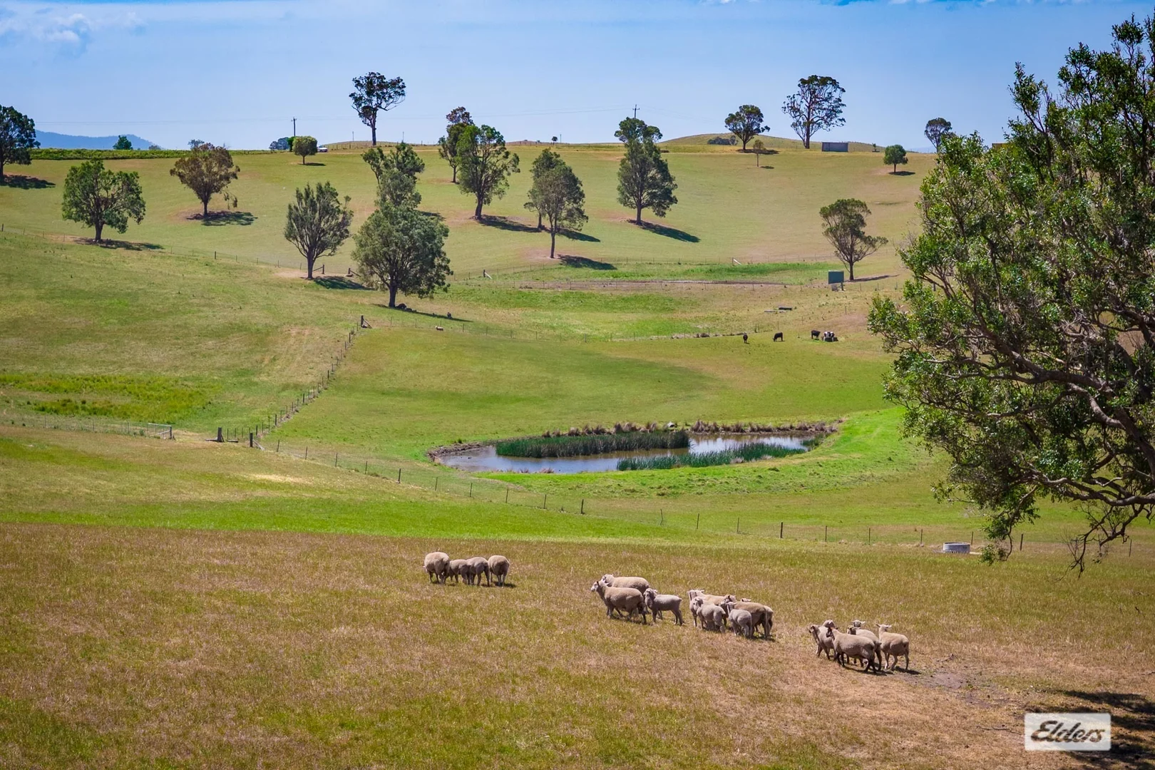 Additional image 5 of 921 Mogilla Road, Tantawangalo NSW 2550