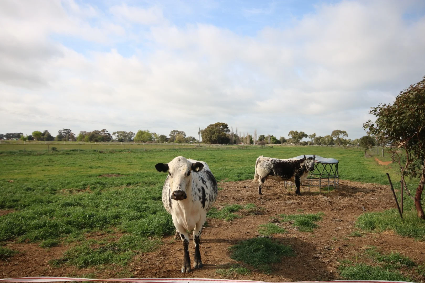 Additional image 34 of 252 Bamawm Road, Bamawm Extension VIC 3564