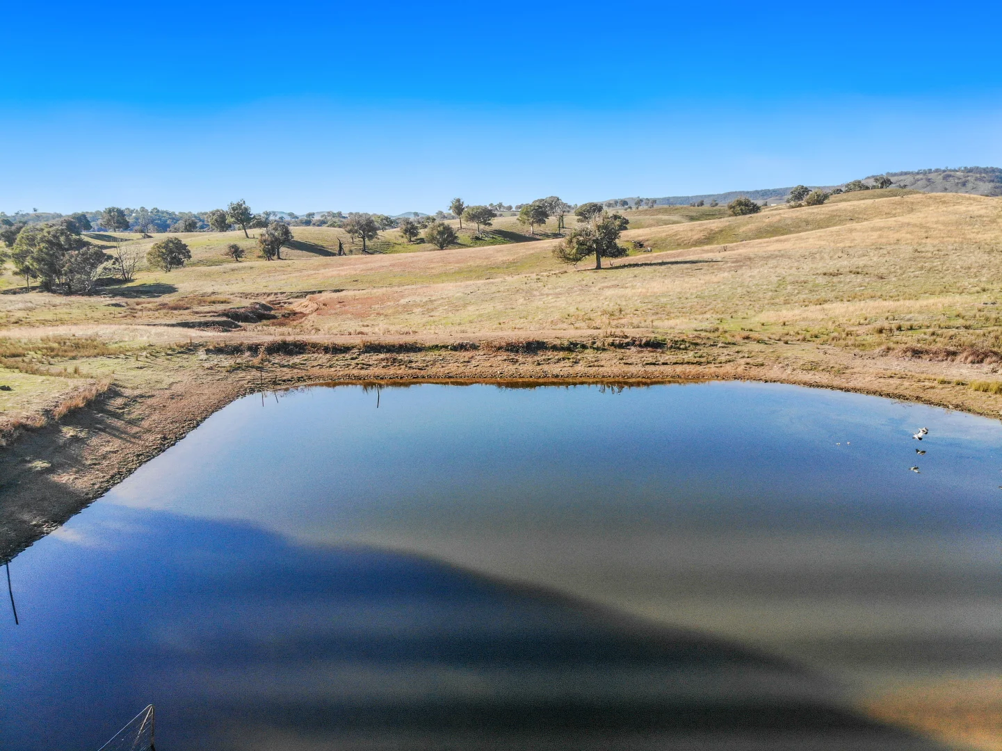 Additional image 20 of 1072 Wee Jasper Road, Tumut NSW 2720