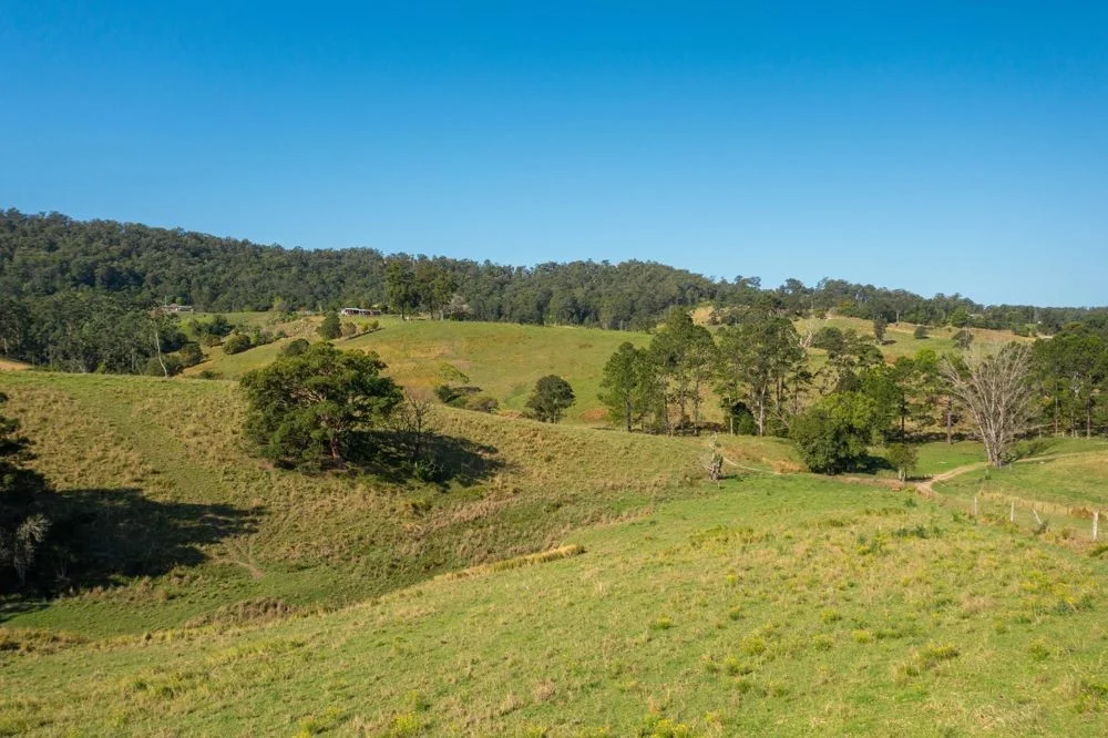 Additional image 30 of 353 Rhones Creek Road, Talarm NSW 2447