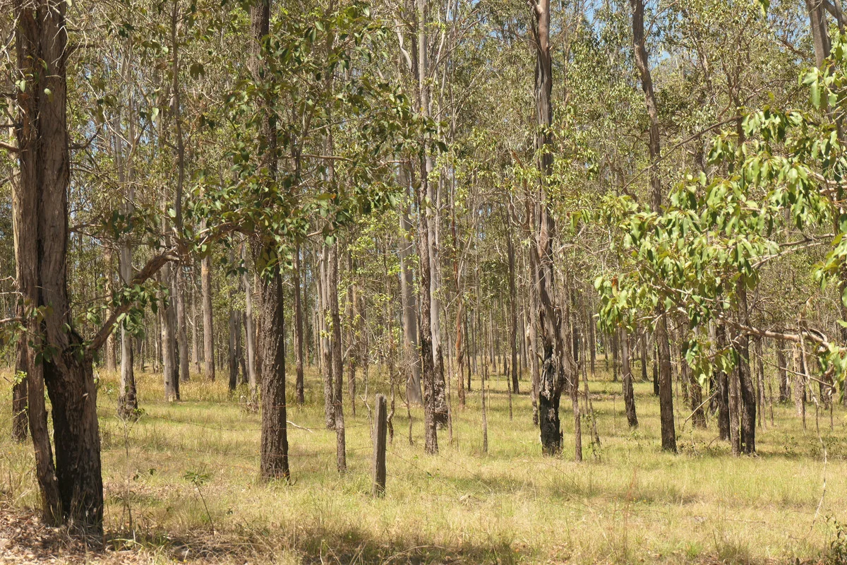Additional image 7 of 4 Kimbin Pikapene Road, Tabulam NSW 2469