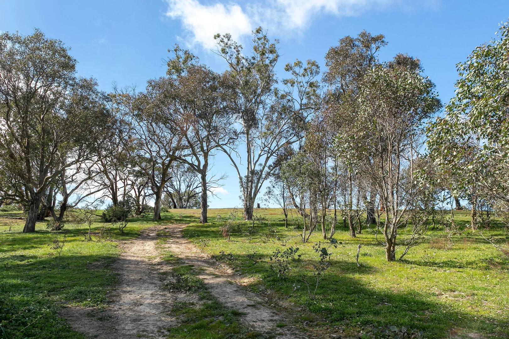 Additional image 14 of 257 Stadtmillers Lane, Bowning NSW 2582