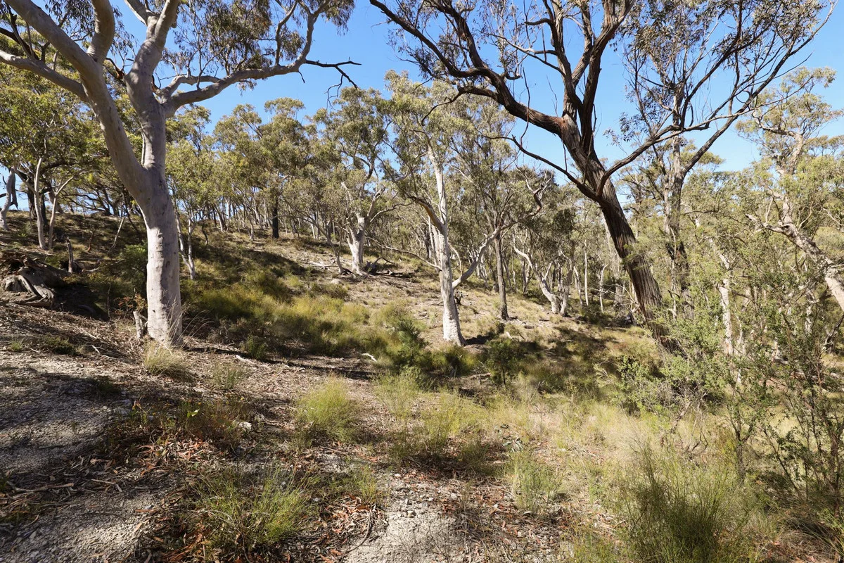 Additional image 8 of 494 Jerralong Road, Oallen NSW 2622