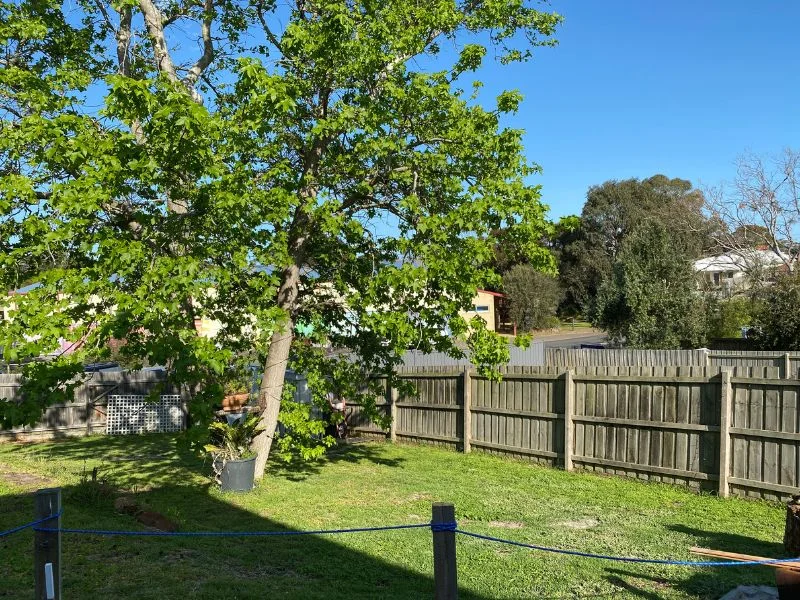 Additional image 16 of 2/37 Coleman Crescent, Capel Sound VIC 3940