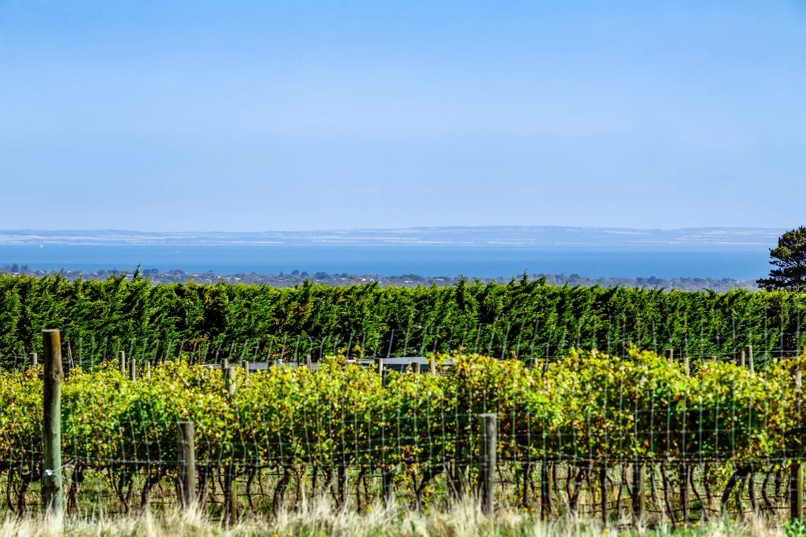 Additional image 3 of 60 Patterson Road, Boneo VIC 3939