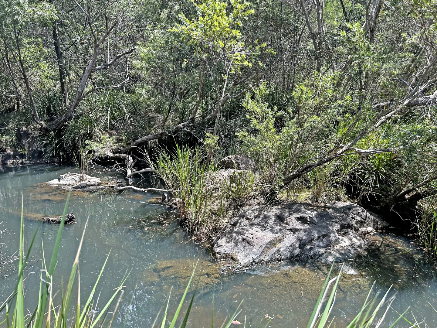 Additional image 35 of 4/62 Leslie Creek Road, Tabulam NSW 2469