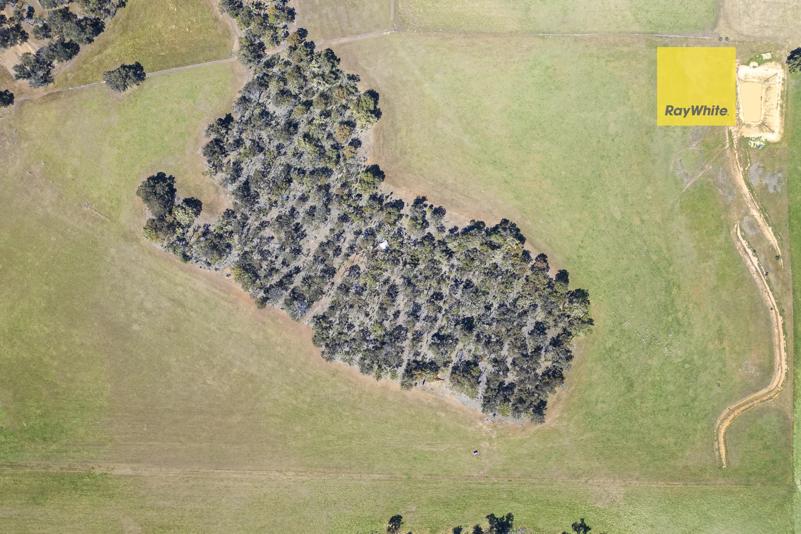 Additional image 16 of 7 Maltrup Road, Dinninup WA 6244