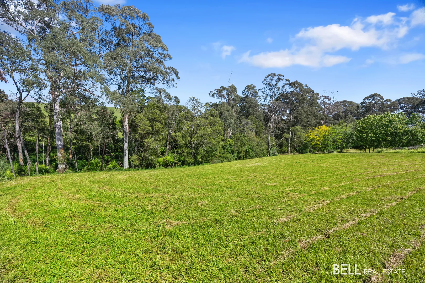 Additional image 8 of 65 Lewis Road, Hoddles Creek VIC 3139
