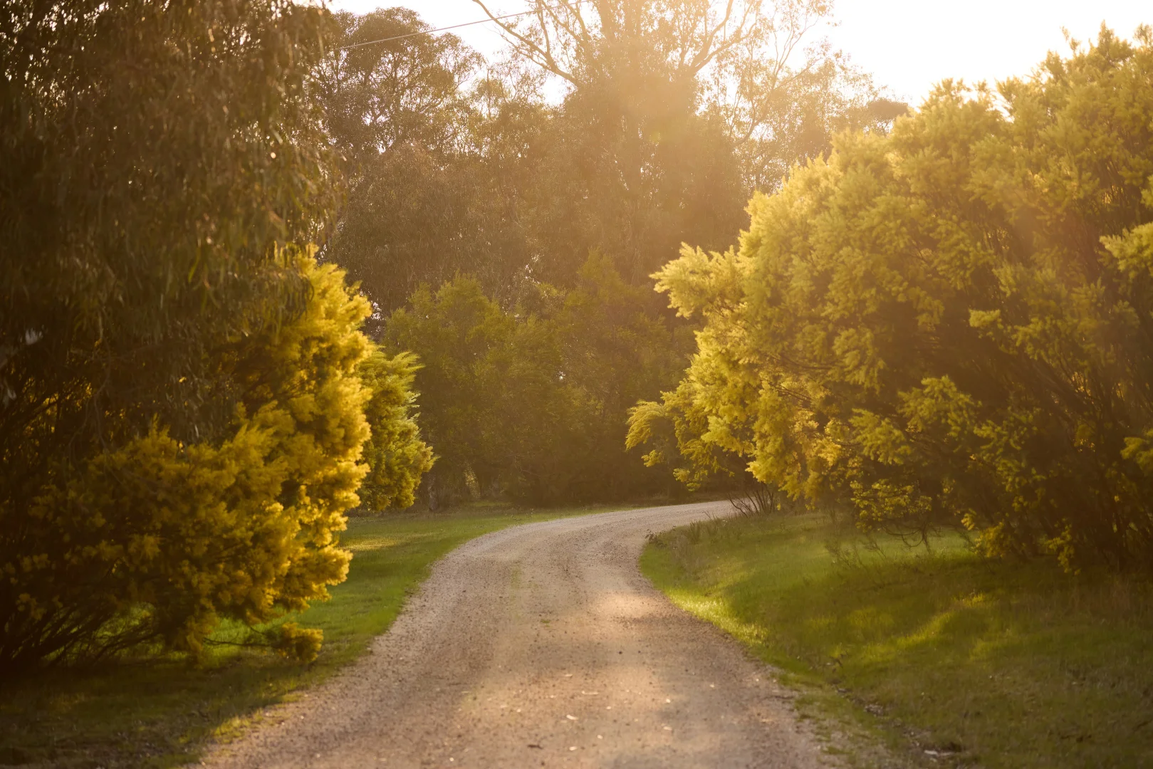 Additional image 20 of 590 Old Tolmie Road, Barwite VIC 3722