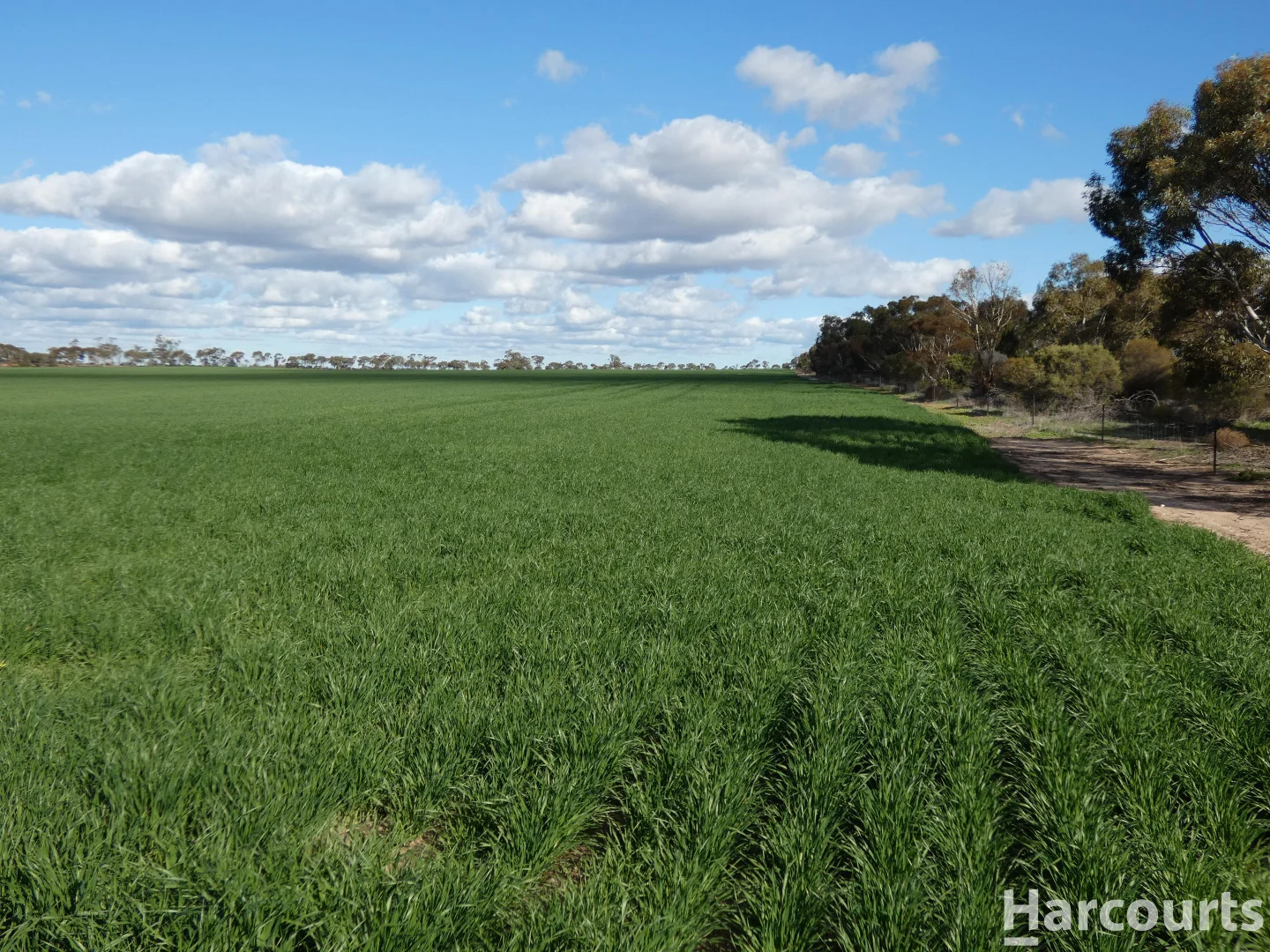Additional image 13 of 4429 Hopetoun-Rainbow Road, Rainbow VIC 3424
