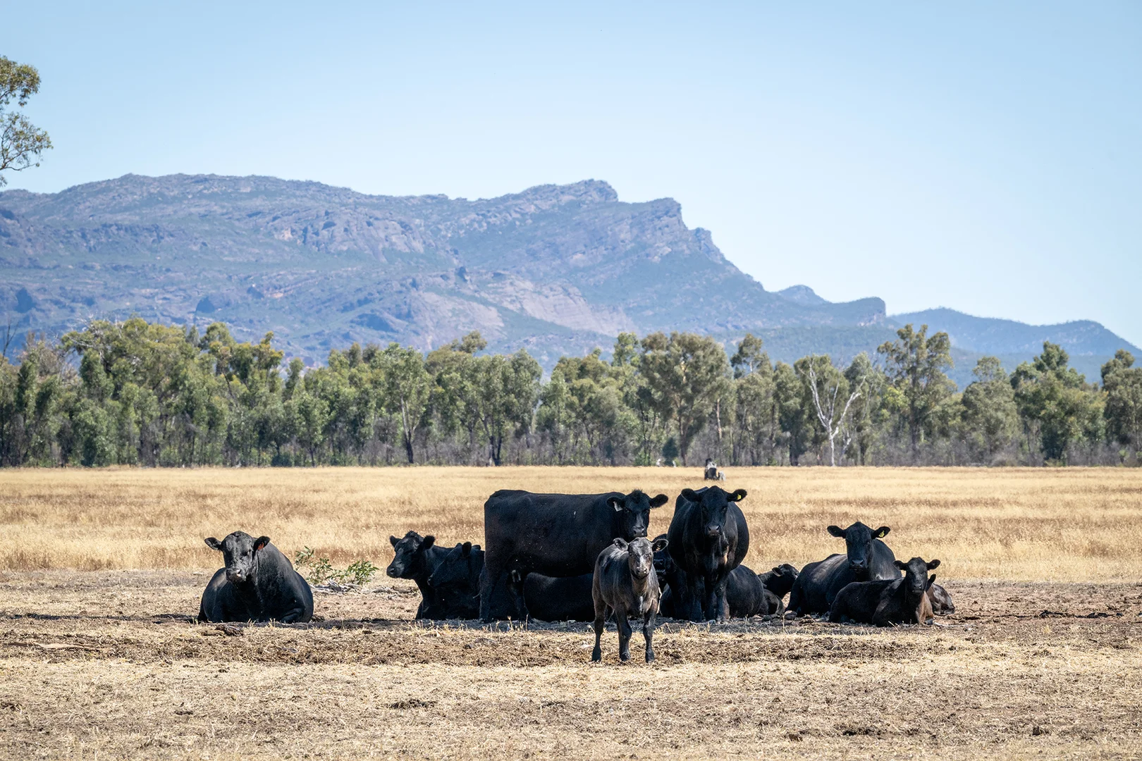 Additional image 11 of Golton South Road, Dadswells Bridge VIC 3385