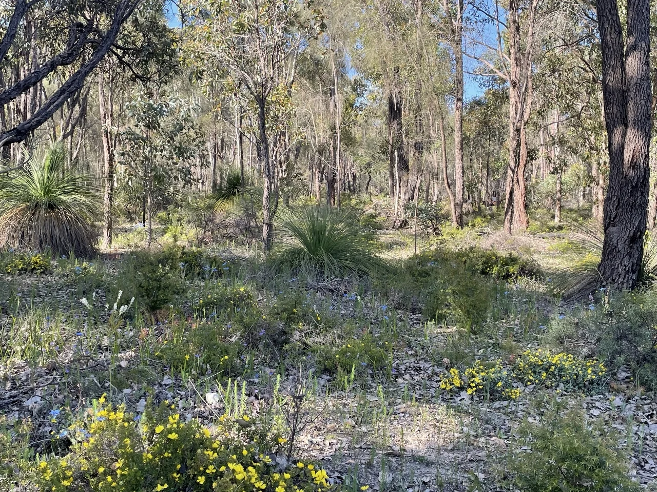 Additional image 20 of 200 Gumley Road, Bakers Hill WA 6562