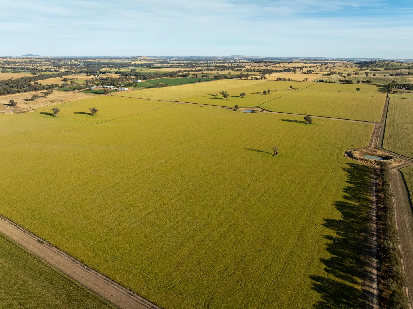 Additional image 11 of 158 Bethel Road, Burrumbuttock NSW 2642