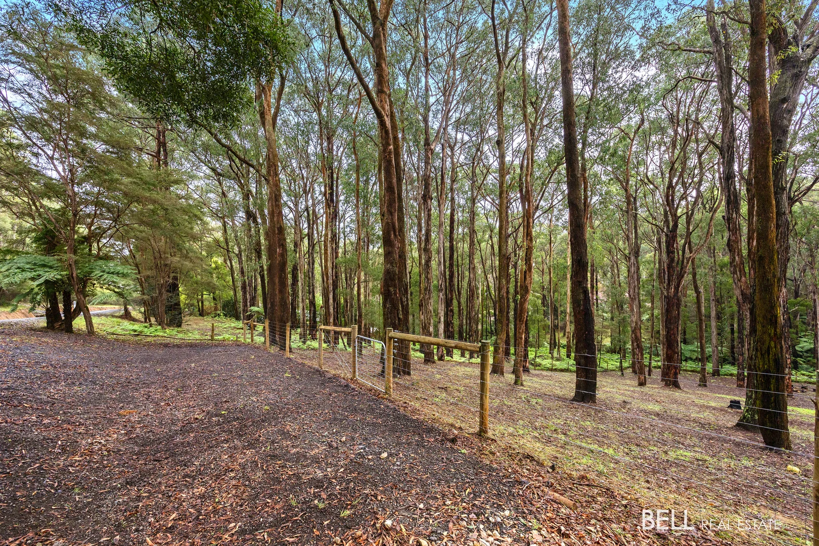 Additional image 13 of 15 Lyrebird Avenue, East Warburton VIC 3799