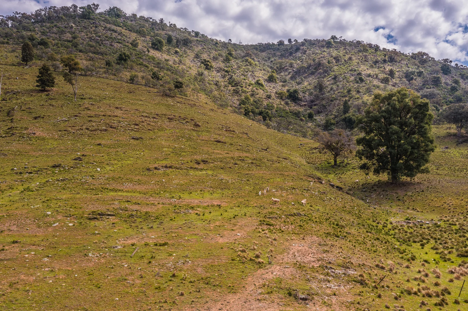 Additional image 13 of 53 Highland Home Road, Mudgee NSW 2850