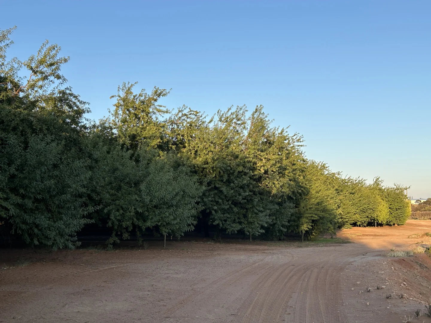 Additional image 28 of 108 Pike Creek Road, Lyrup SA 5343