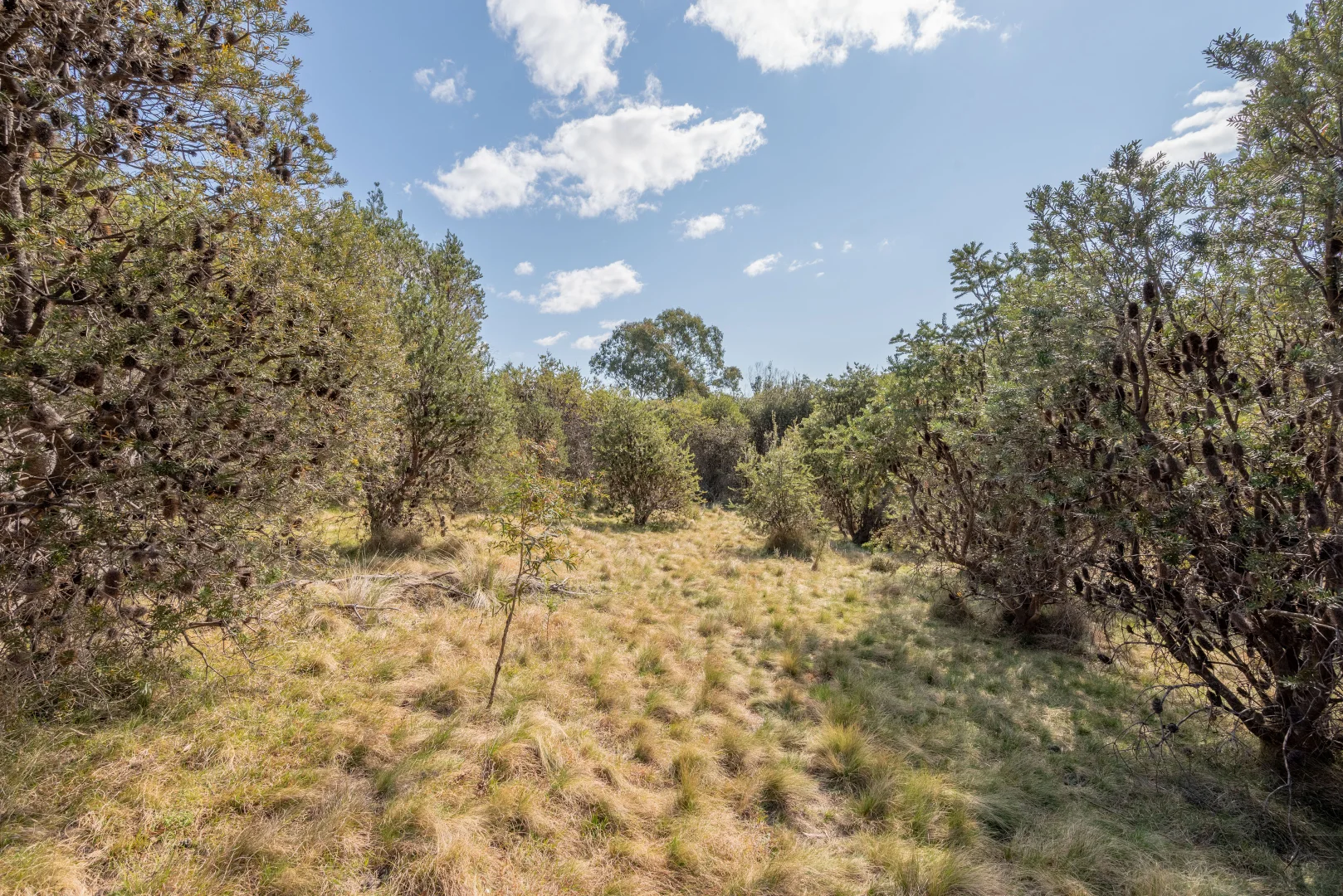 Additional image 19 of 153 Blue Bush Road, Wyanbene NSW 2622