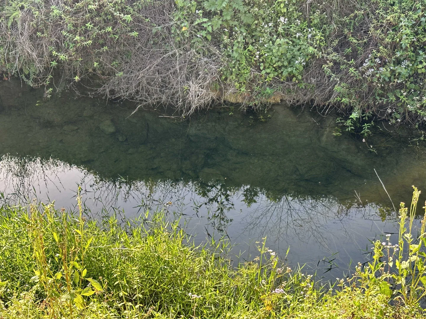 Additional image 16 of Lot 2 Broderick Road, Midgenoo QLD 4854