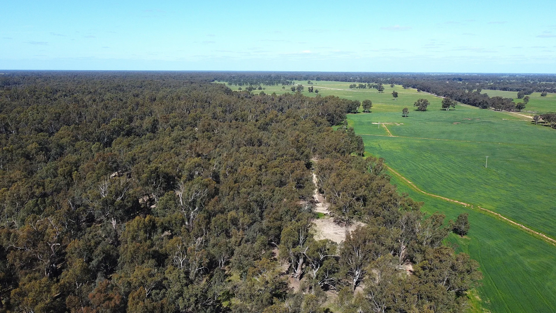 Additional image 10 of . Bangerang Road, Kanyapella VIC 3564