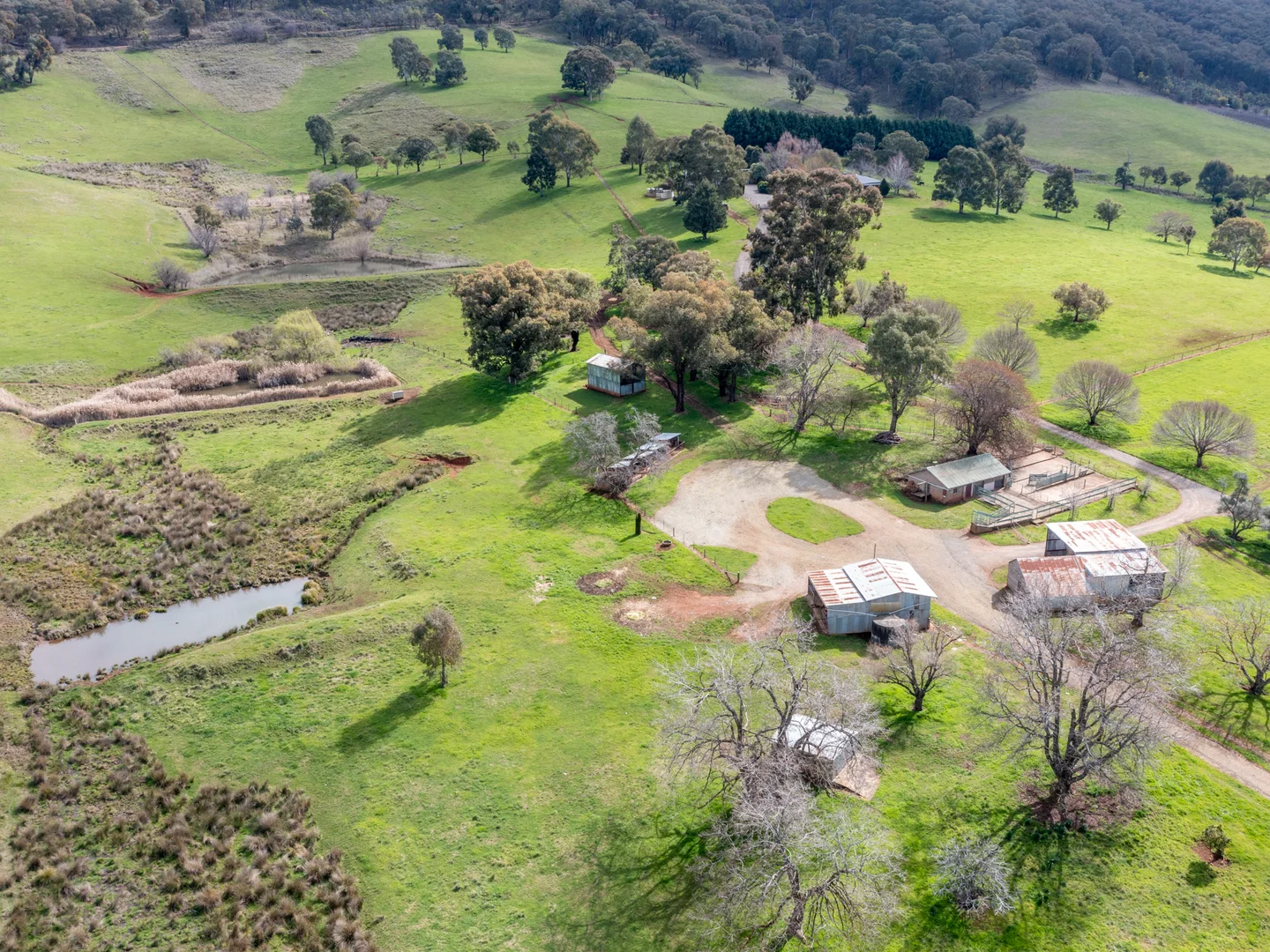 Additional image 31 of 1694 Boggy Creek Road, Myrrhee VIC 3732