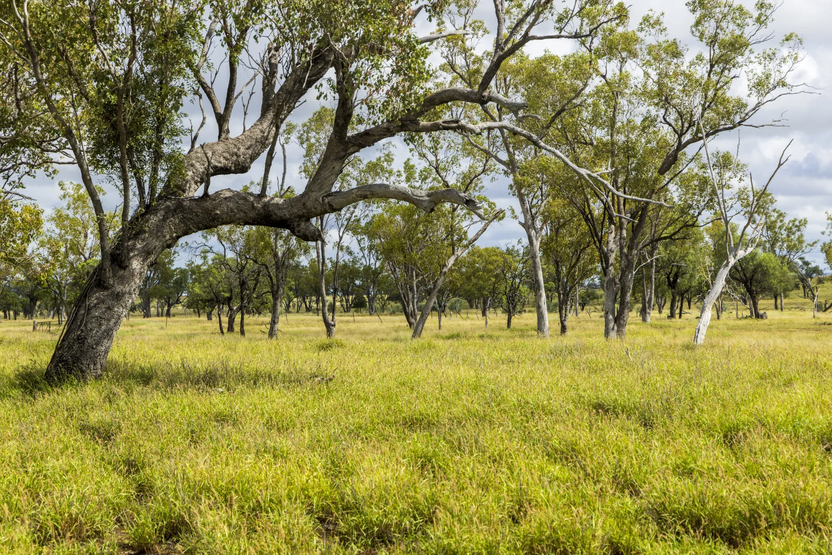 Additional image 6 of 205 Redbank Road, Roma QLD 4455