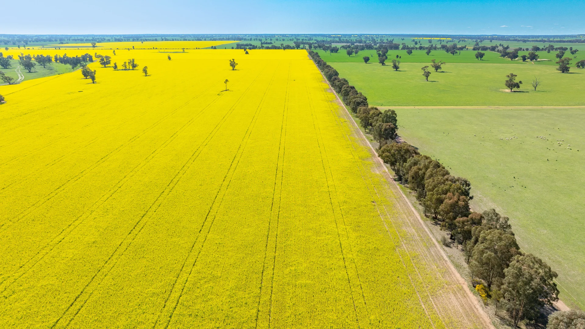 Additional image 23 of BOOROOL Mossdale Road, Balldale NSW 2646