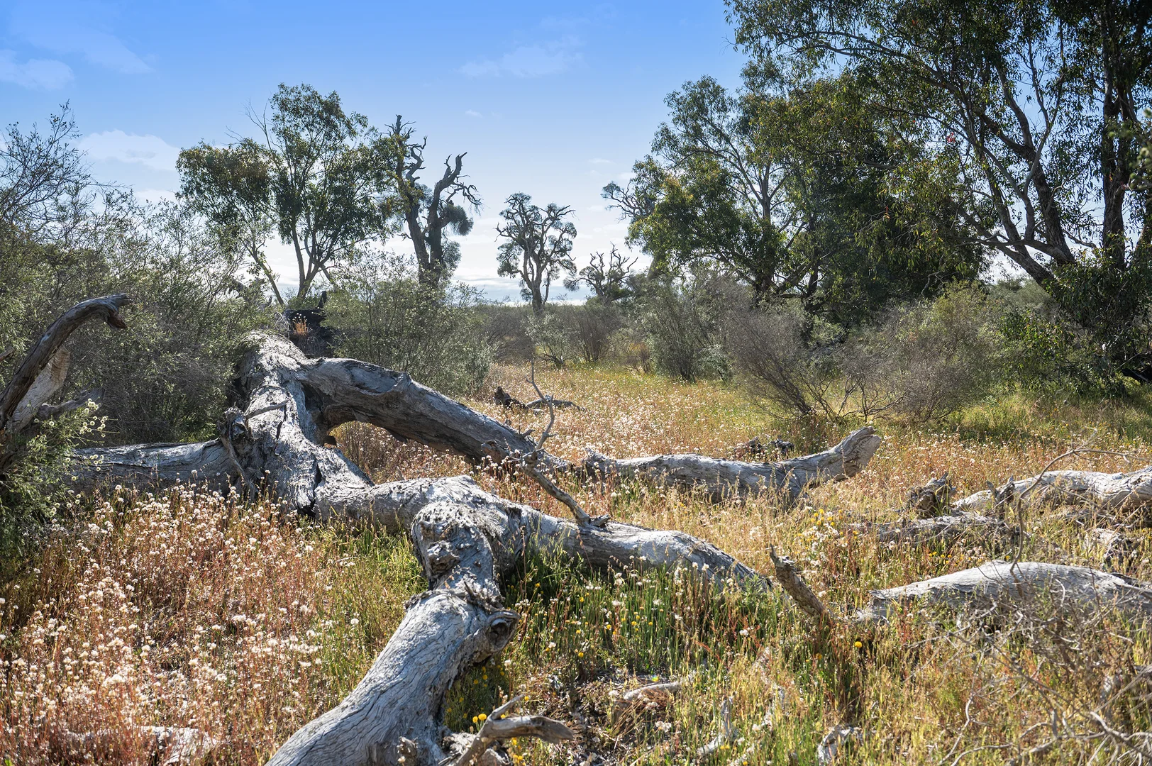 Additional image 22 of 3691 Duffy Road, Bambun WA 6503