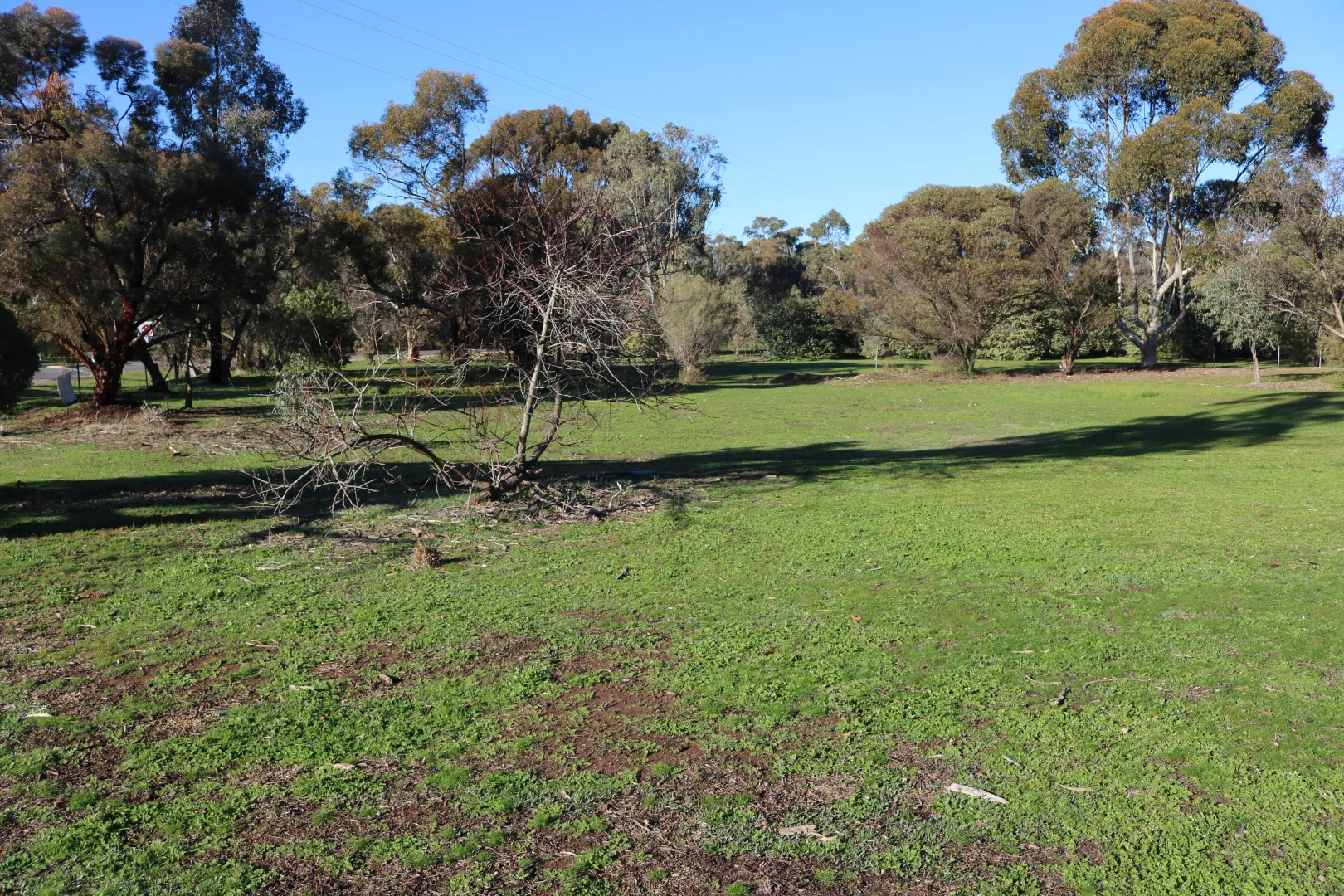 Additional image 12 of 6/8 Ridge Street, Wedderburn VIC 3518