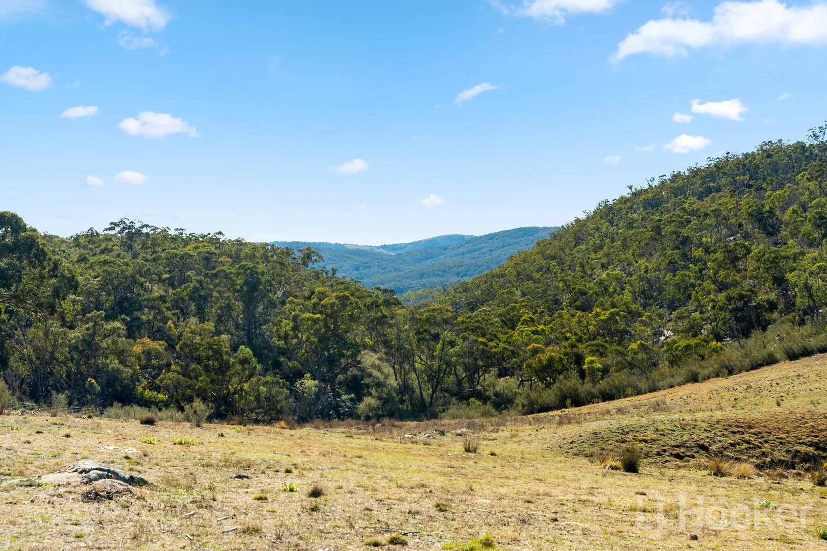 Additional image 2 of 877 Urila Road, Urila NSW 2620