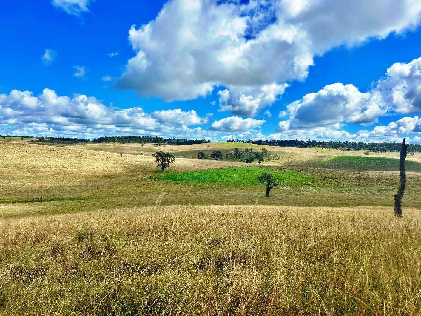 Additional image 19 of 1815 Hillview Road, Uralla NSW 2358