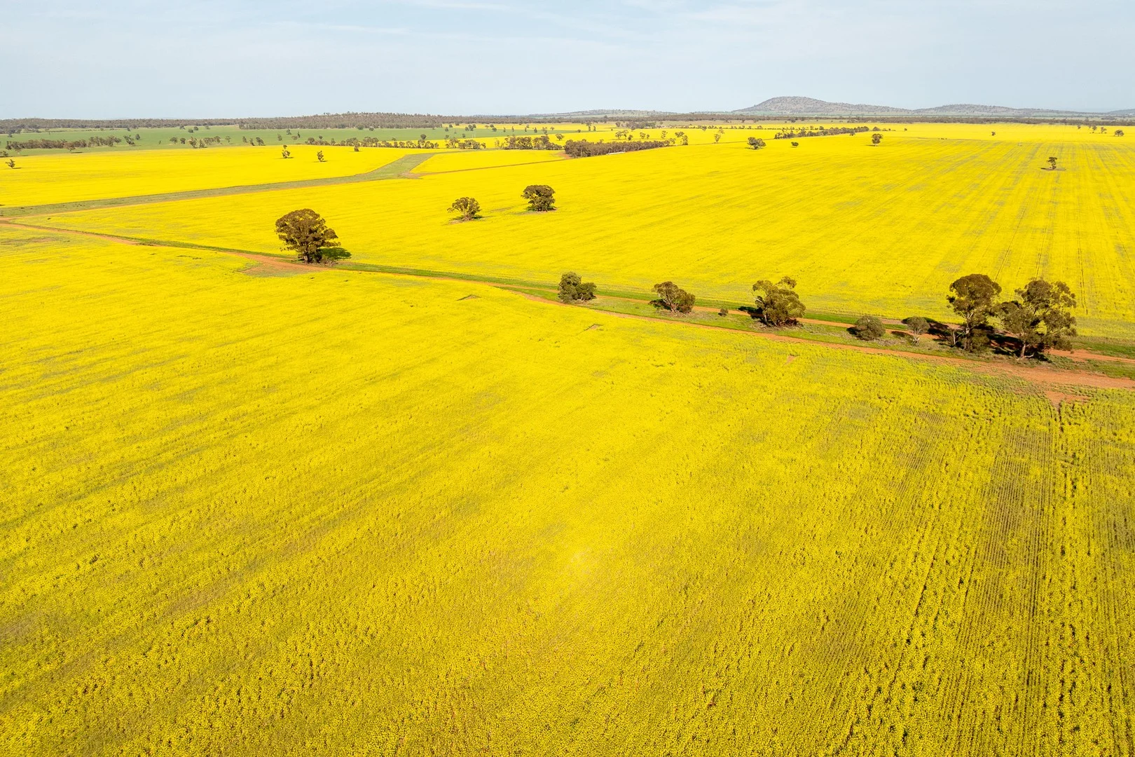Additional image 26 of Weise Aggregation, Beckom, Ardlethan,, Ariah Park NSW 2665