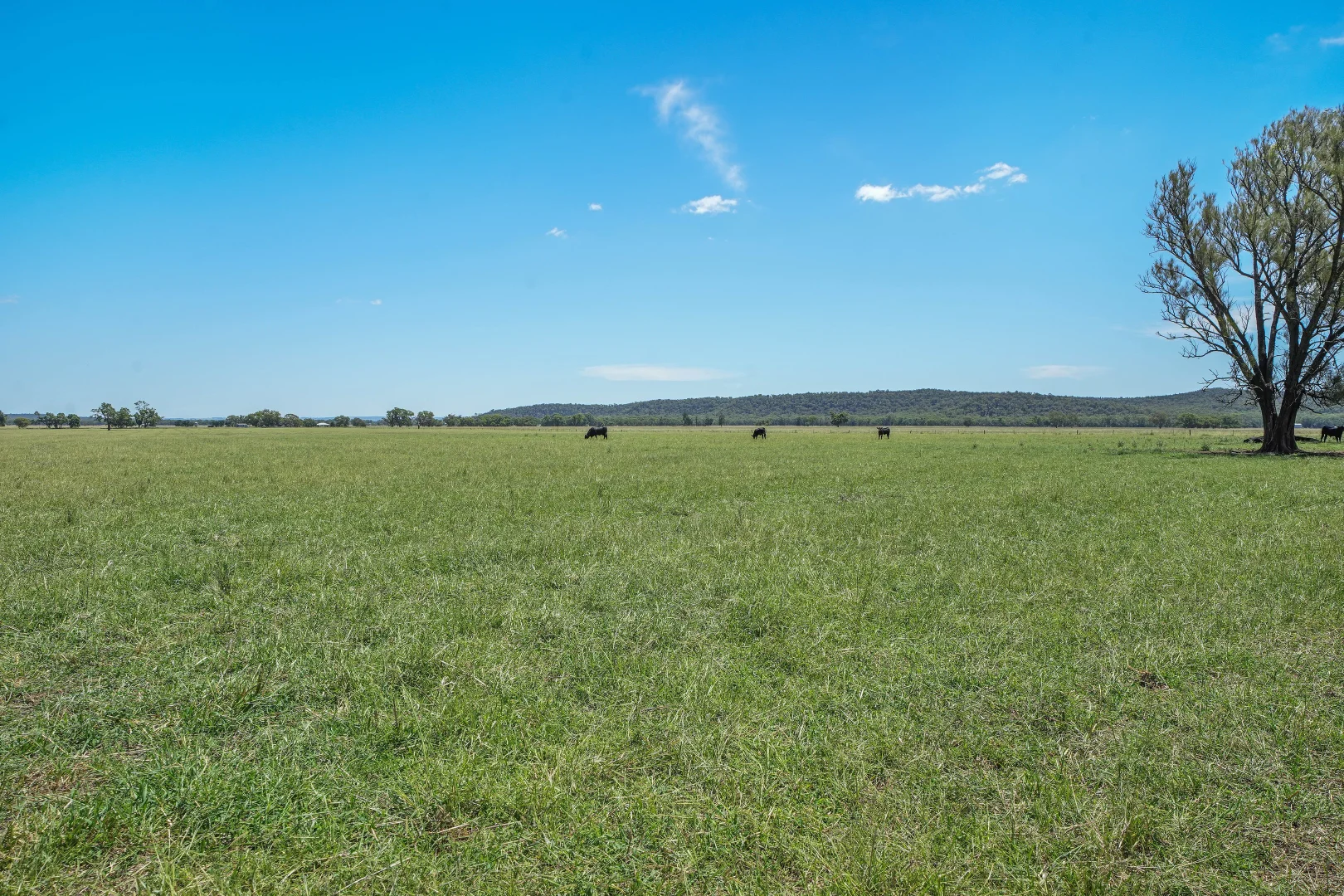 Additional image 15 of 2824 Neilrex Road, Neilrex NSW 2831