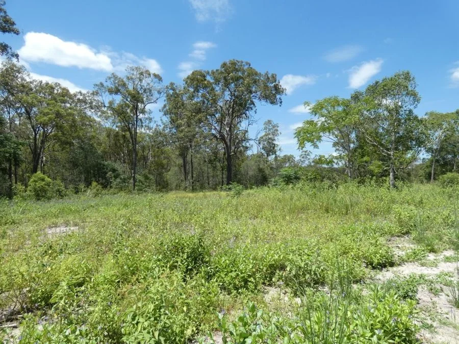 Additional image 31 of Lot 41 Moolyung Road, Waterloo QLD 4673